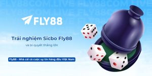 Trải nghiệm Sicbo Fly88 và bí quyết thắng lớn